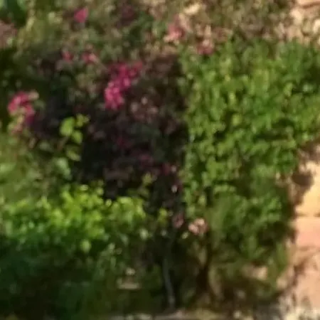 דירה Casa Mare מורתה מריה